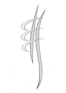 Membre de l'Association Française de Chiropraxie